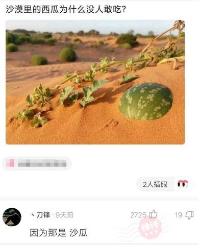 吃沙漠瓜的视频,揭秘沙漠瓜的独特魅力  第3张